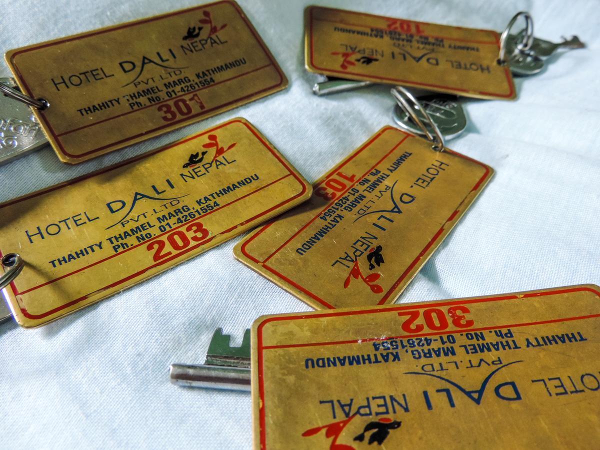 Hotel Dali Nepal Katmandu Zewnętrze zdjęcie