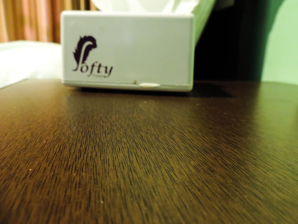 Hotel Dali Nepal Katmandu Zewnętrze zdjęcie